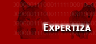 File:Expertiza logo.jpg