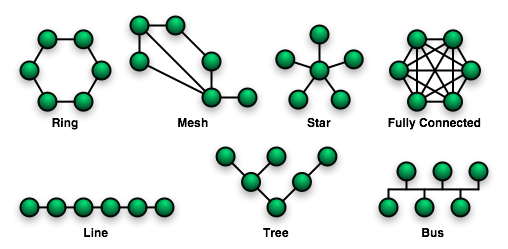 An example of possible network structures.<ref name = "topology"/>
