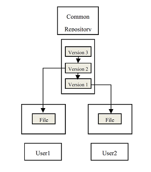 Centralized Version Control