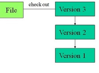 Revision Control System.