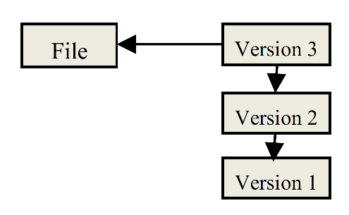 Local Version Control